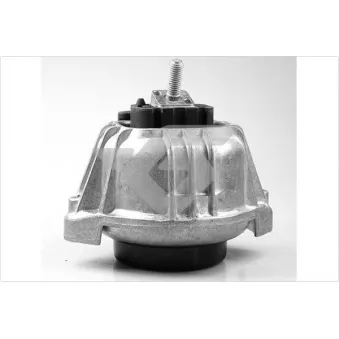 Support, suspension du moteur HUTCHINSON 594492