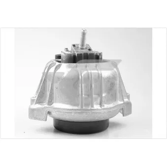 Support, suspension du moteur HUTCHINSON 594495