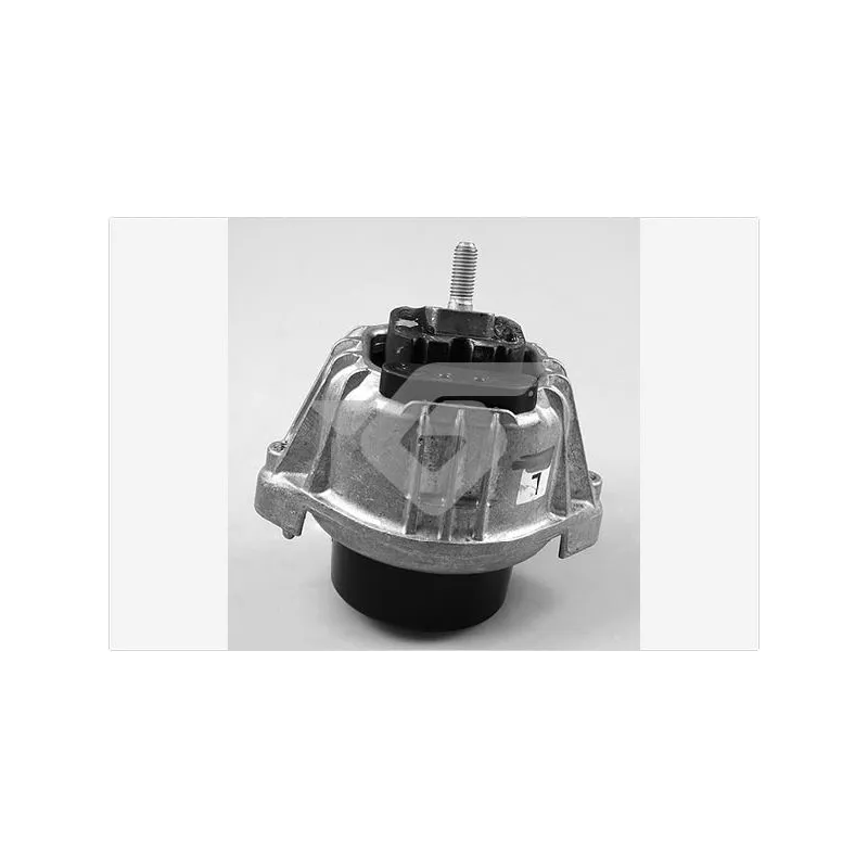 Support, suspension du moteur HUTCHINSON 594496
