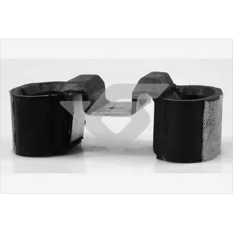 Support, suspension du moteur HUTCHINSON 594499