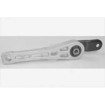 Support, suspension du moteur HUTCHINSON 594515