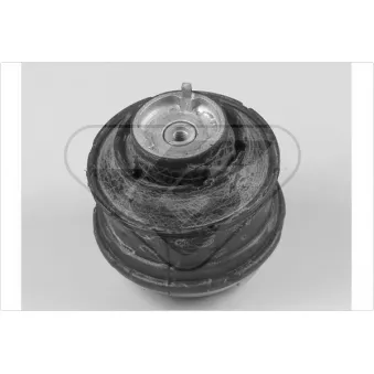 Support, suspension du moteur HUTCHINSON 597009