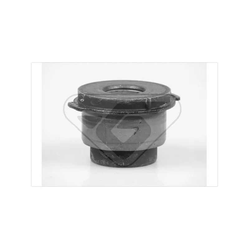 Suspension, corps de l'essieu HUTCHINSON 599066