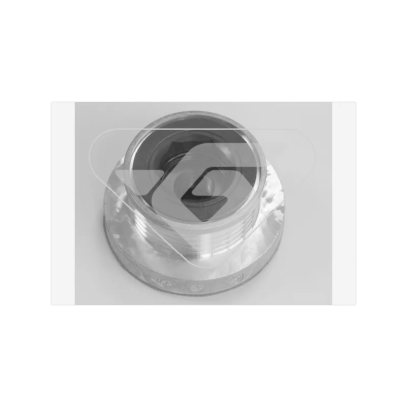 Poulie, alternateur HUTCHINSON D7512
