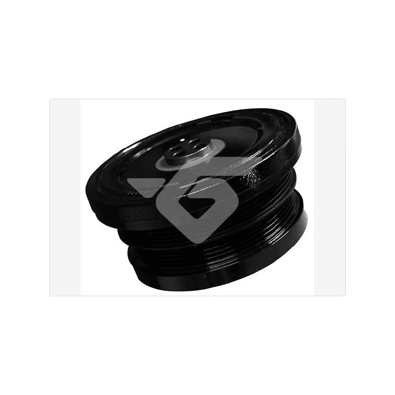 Poulie, vilebrequin HUTCHINSON DP004