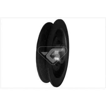 Poulie, vilebrequin HUTCHINSON DP031
