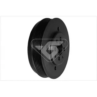 Poulie, vilebrequin HUTCHINSON DP044