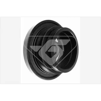 Poulie, vilebrequin HUTCHINSON DP055