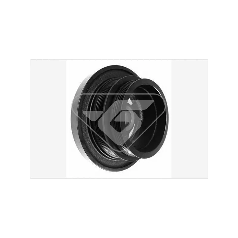 Poulie, vilebrequin HUTCHINSON DP055