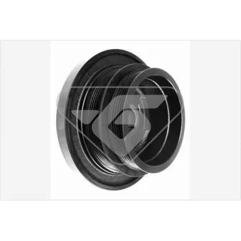 Poulie, vilebrequin HUTCHINSON DP056