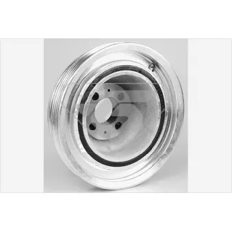 Poulie, vilebrequin HUTCHINSON DP101