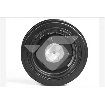 Poulie, vilebrequin HUTCHINSON DP111