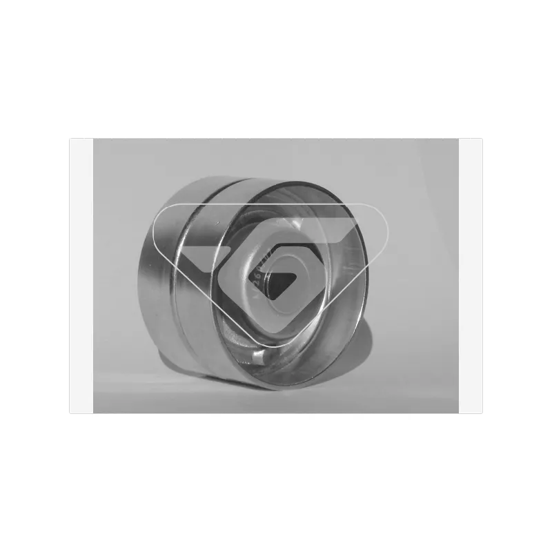 Poulie renvoi/transmission, courroie de distribution HUTCHINSON HEG05