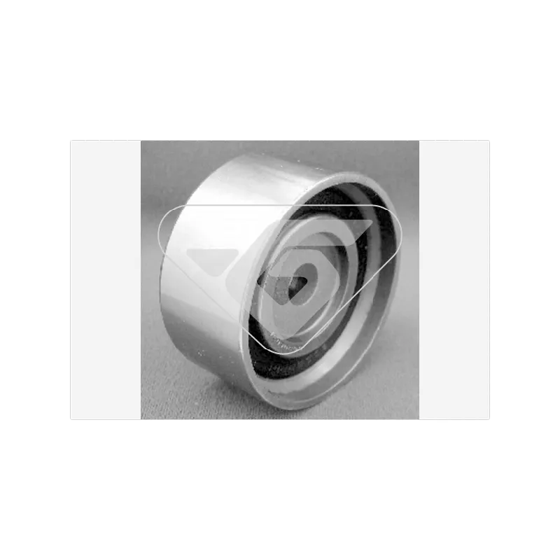 Poulie renvoi/transmission, courroie de distribution HUTCHINSON HEG172