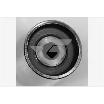 Poulie renvoi/transmission, courroie de distribution HUTCHINSON HEG450