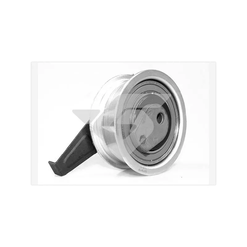 Poulie-tendeur, courroie crantée HUTCHINSON HTG460