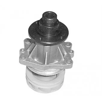 Pompe à eau MAGNETI MARELLI
