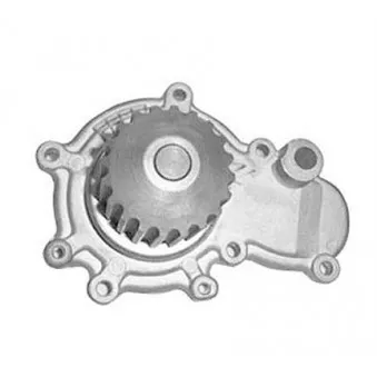 Pompe à eau MAGNETI MARELLI