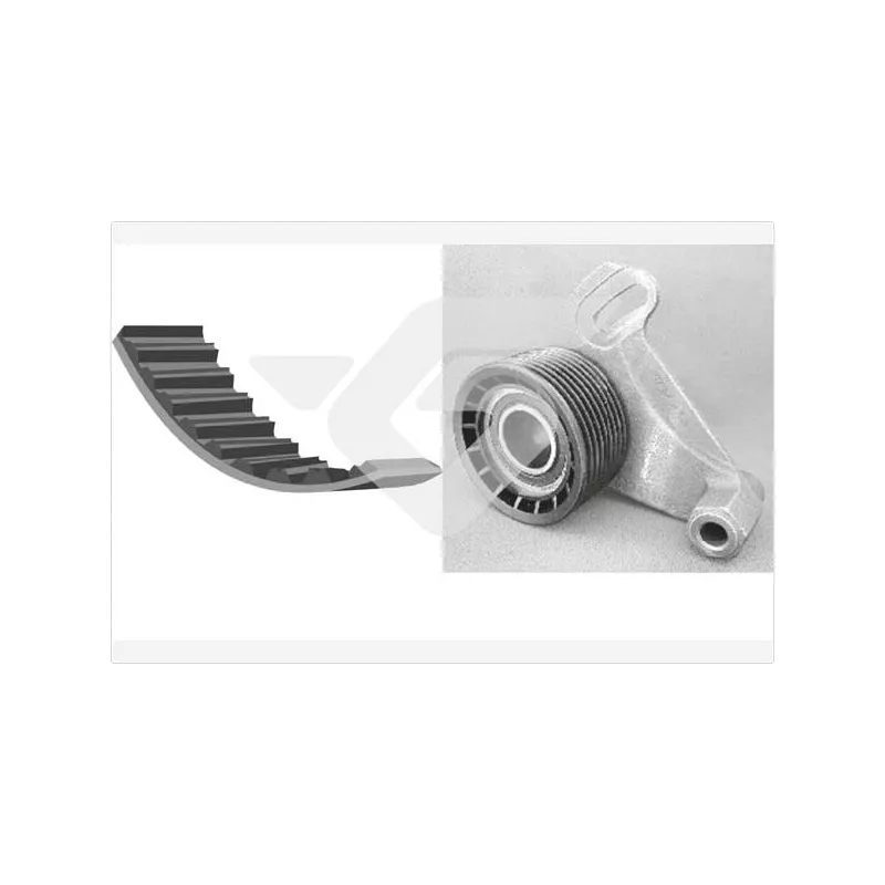 Kit de distribution HUTCHINSON KH100