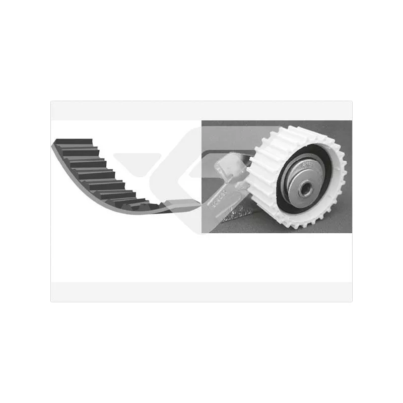 Kit de distribution HUTCHINSON KH119