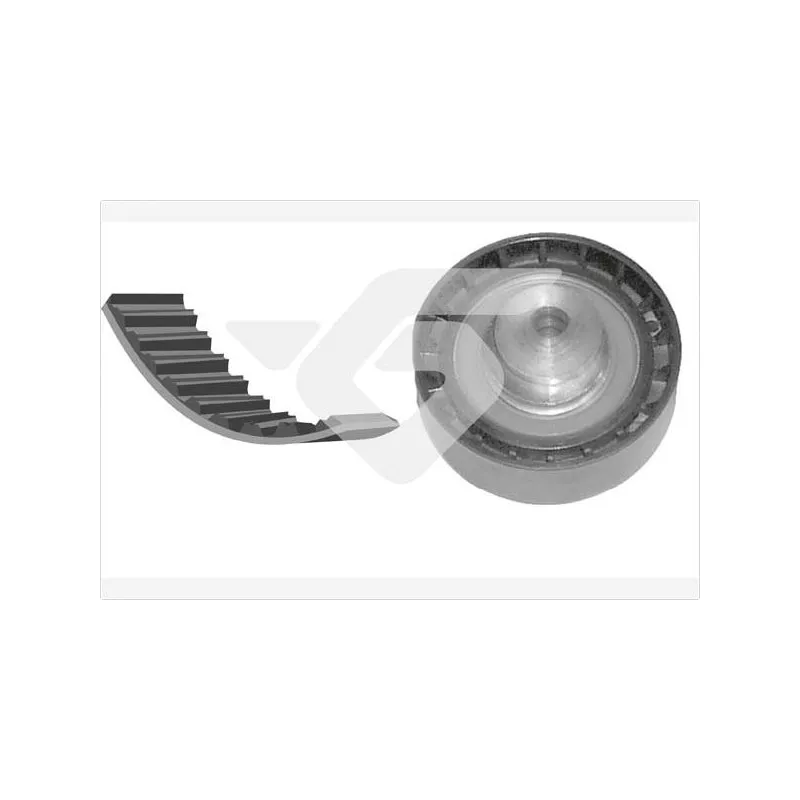 Kit de distribution HUTCHINSON KH124
