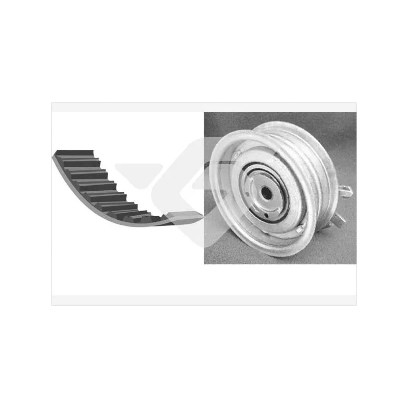 Kit de distribution HUTCHINSON KH125