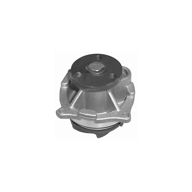 Pompe à eau MAGNETI MARELLI 352316170164