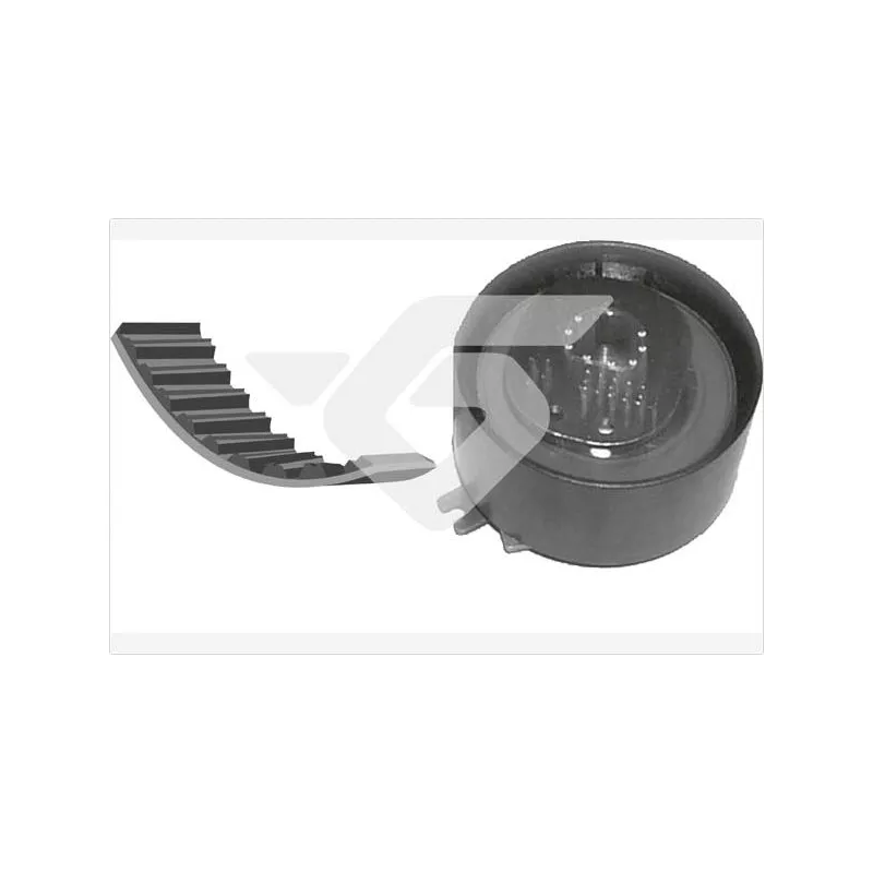 Kit de distribution HUTCHINSON KH139
