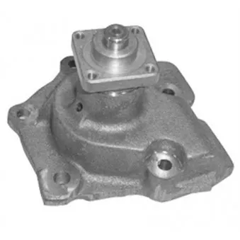 Pompe à eau MAGNETI MARELLI 352316170171