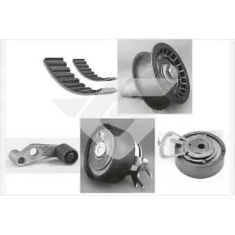 Kit de distribution HUTCHINSON KH163