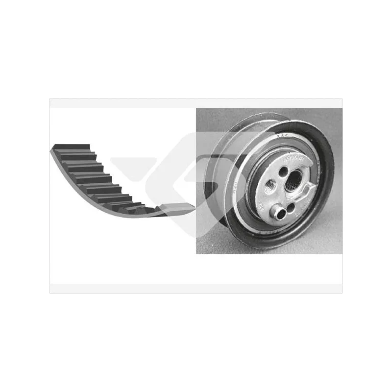 Kit de distribution HUTCHINSON KH172