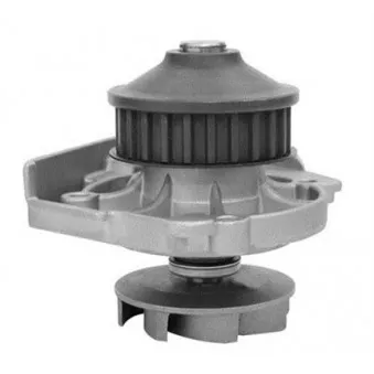 Pompe à eau MAGNETI MARELLI 352316170286
