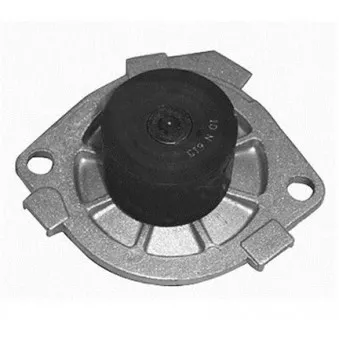 Pompe à eau MAGNETI MARELLI 352316170295