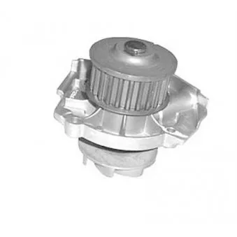Pompe à eau MAGNETI MARELLI 352316170306