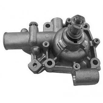 Pompe à eau MAGNETI MARELLI 352316170316