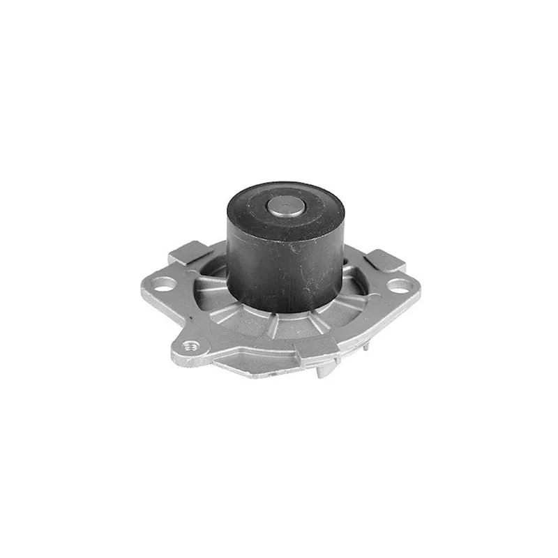 Pompe à eau MAGNETI MARELLI 352316170317