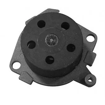 Pompe à eau MAGNETI MARELLI 352316170327