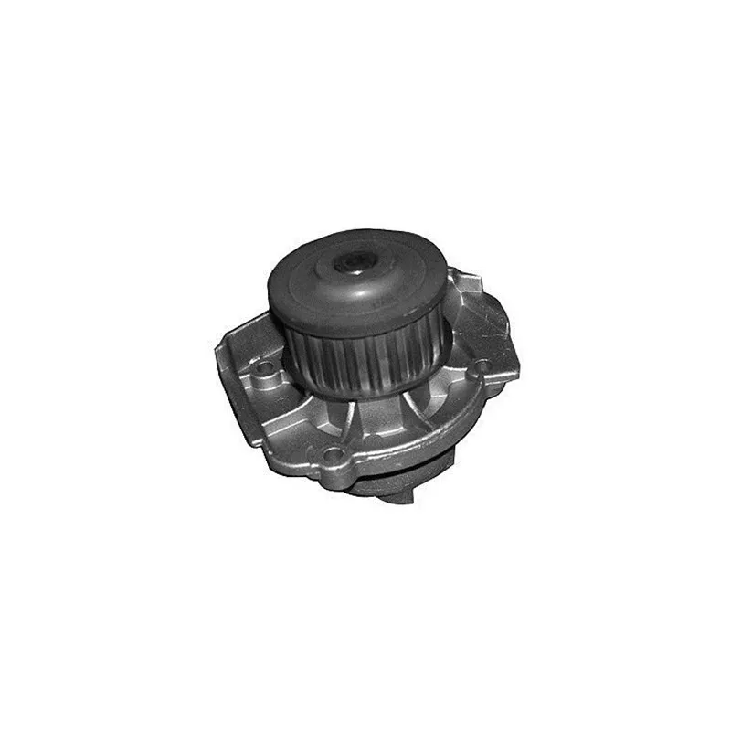 Pompe à eau MAGNETI MARELLI 352316170331