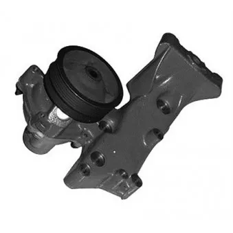 Pompe à eau MAGNETI MARELLI 352316170348
