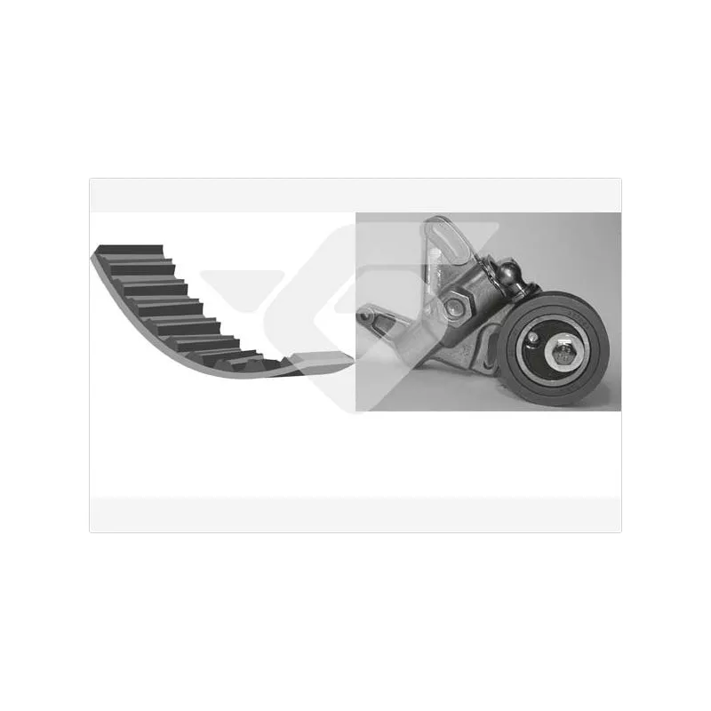 Kit de distribution HUTCHINSON KH259
