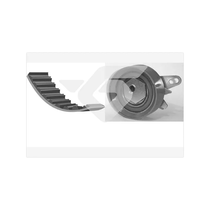 Kit de distribution HUTCHINSON KH270