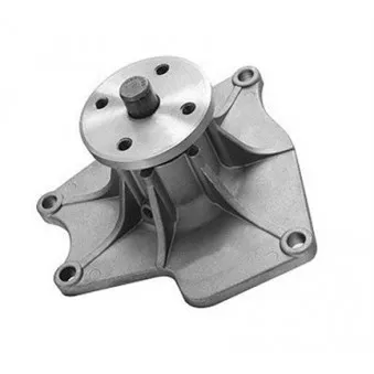 Pompe à eau MAGNETI MARELLI 352316170588