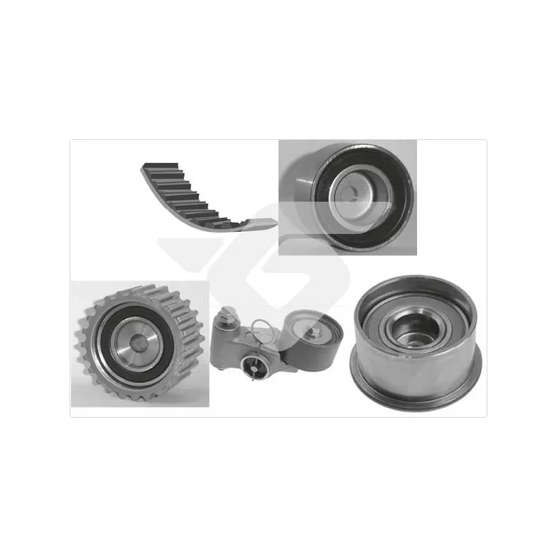 Kit de distribution HUTCHINSON KH319
