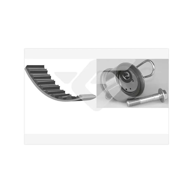 Kit de distribution HUTCHINSON KH360
