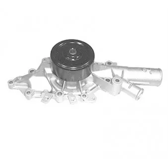 Pompe à eau MAGNETI MARELLI