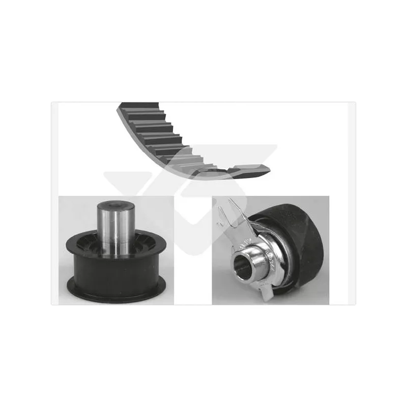 Kit de distribution HUTCHINSON KH419