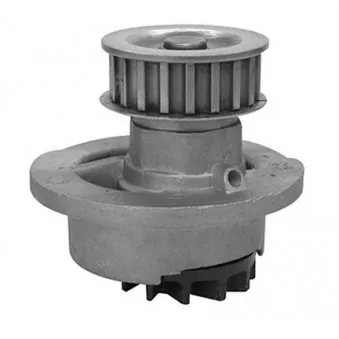 Pompe à eau MAGNETI MARELLI