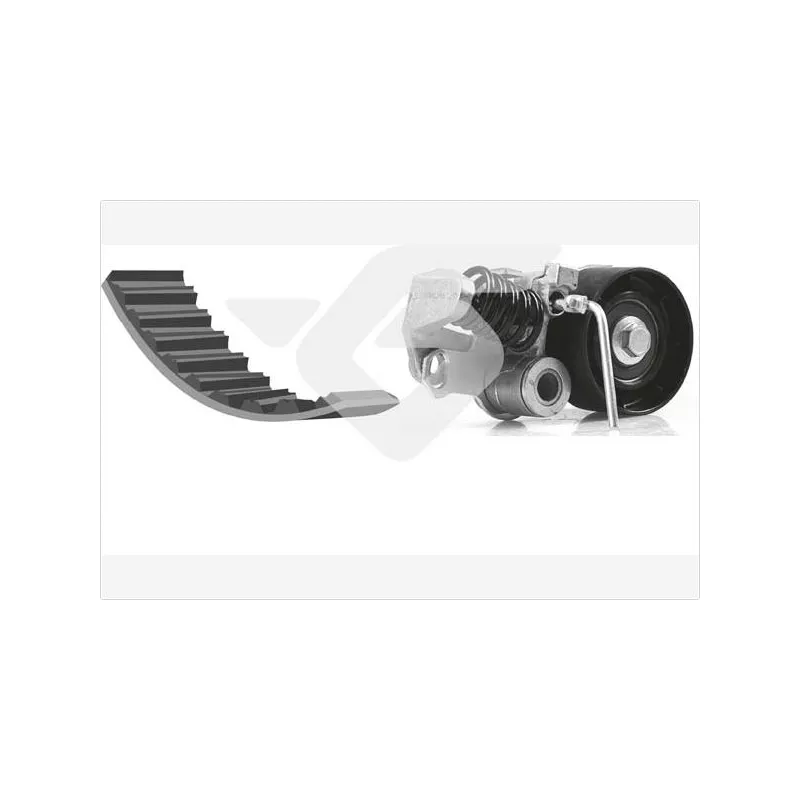Kit de distribution HUTCHINSON KH463