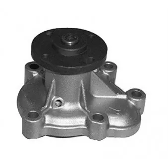 Pompe à eau MAGNETI MARELLI