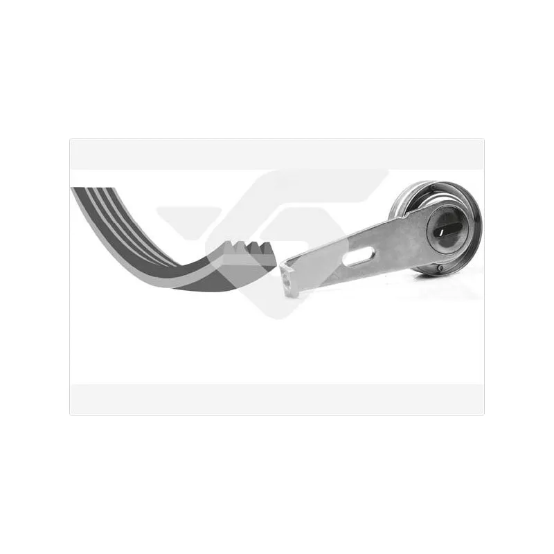 Jeu de courroies trapézoïdales à nervures HUTCHINSON KHV02